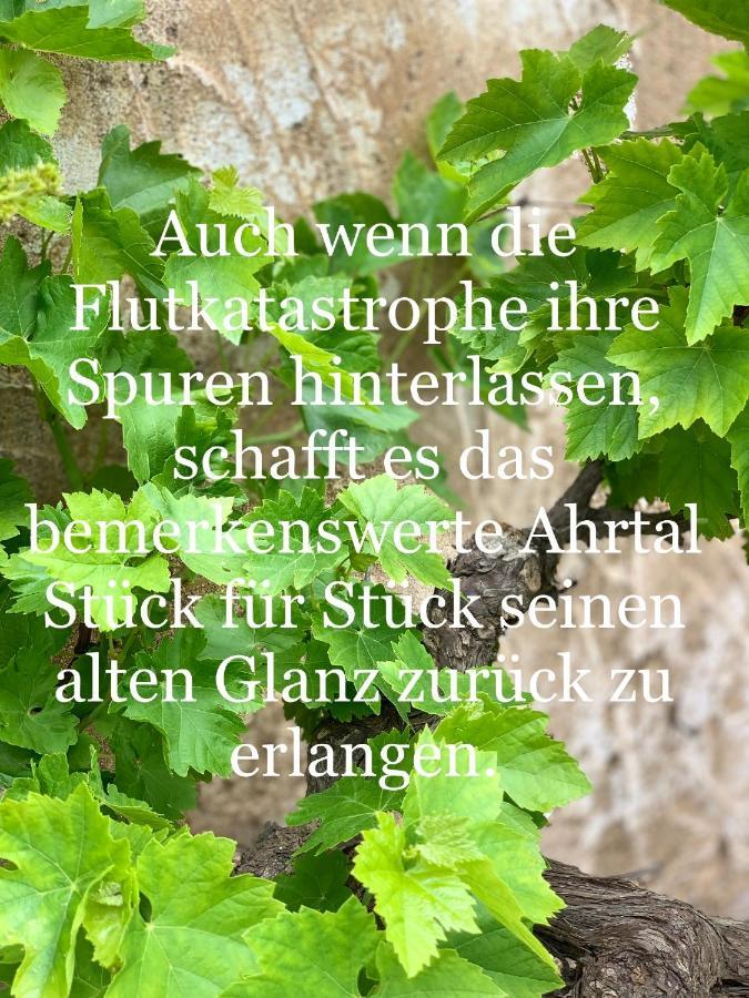 Auszeit Im Ahrtal Apartament *